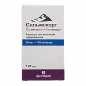 Сальмекорт аэр д/инг дозир 25мкг+125мкг/доза 120доз
