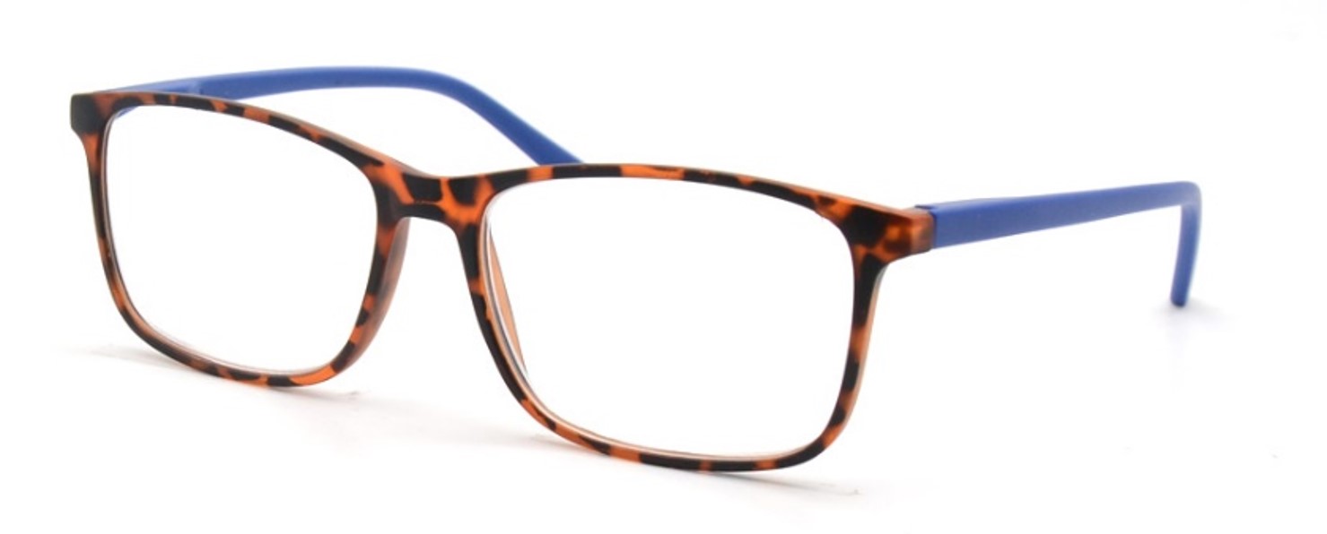 Очки корр.OkOvision(арт.EE23R276) +3.00 С2