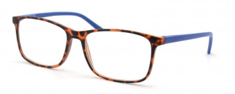 Очки корр.OkOvision(арт.EE23R276) +3.00 С2