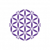 Чабрец трава ф/п 1,5г №20