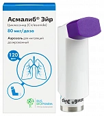 Асмалиб Эйр аэр д/инг дозир 80мкг/доза 120доз баллон