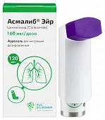 Асмалиб Эйр аэр д/инг дозир 160мкг/доза 120доз баллон